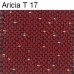 Aricia T 17